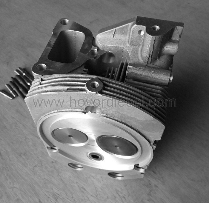 Deutz Cylinder Head Assy 0424 0464/0418 8116/0418 8736/0418 8737 for Deutz FL413FW