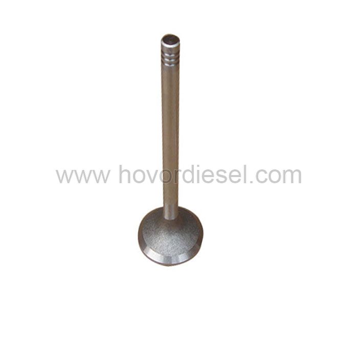 Deutz BFM1013 engine Inlet Exhaust Valve 04255254 04255883 04209110 04204014 04200065 04283380