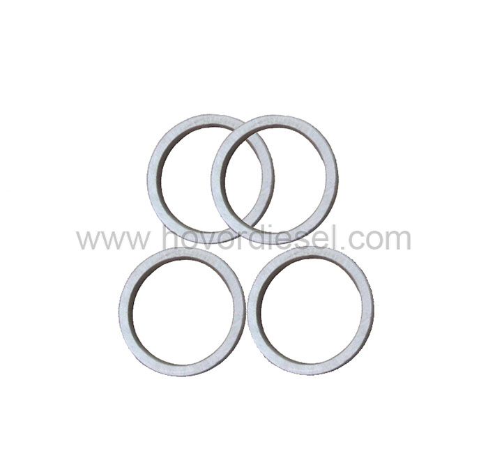 Deutz Diesel Engine Parts Deutz 1013 Valve Seat Insert 04252442 04200170