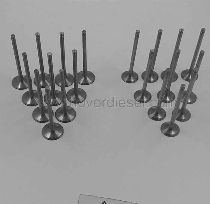 Deutz Inlet Valve Exhaust Valve FL912 FL912w 0415 9139 0415 3697 0423 1804 0423 0567 0415 9136