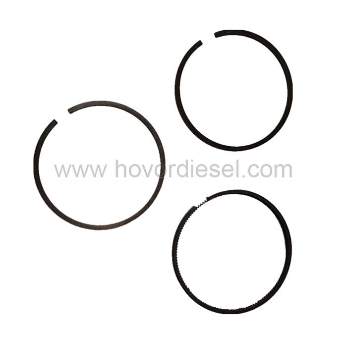 Apply for Deutz piston rings BF913 04231303