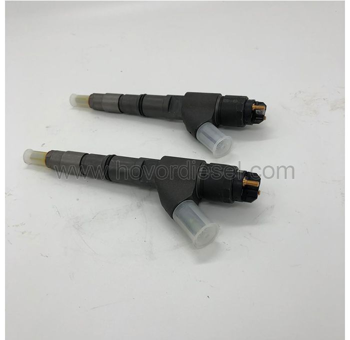 Apply for Deutz TCD2012 04 2V 06 2V fuel injector 04290987