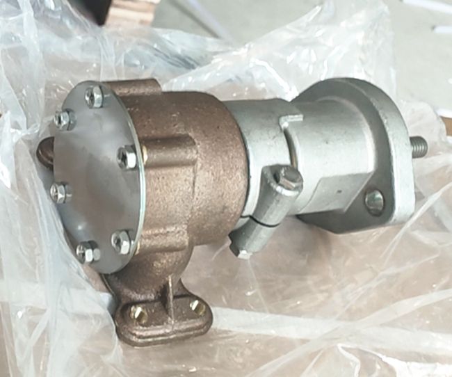 Raw Water Pump BFM1013M BFM1013MC 0422 9524 04229524 for Deutz