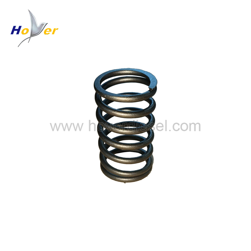 Valve Spring 602402701130 for deutz MWM