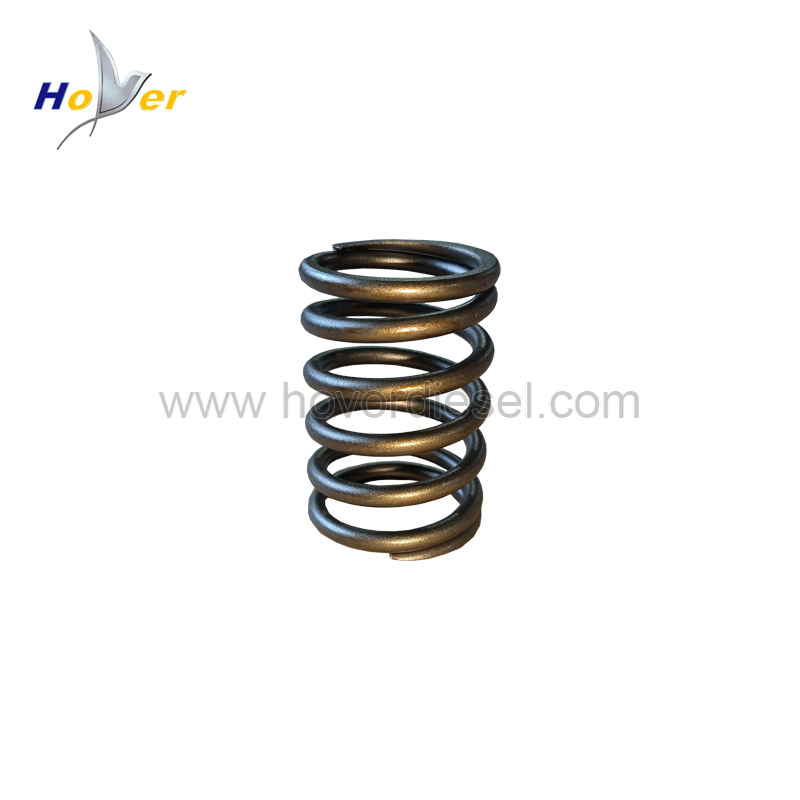 Valve Spring 602403701220 for deutz MWM