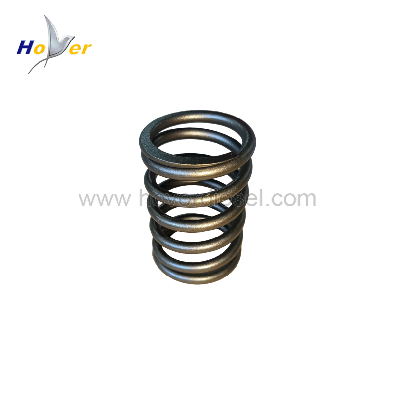 Valve Spring 602403701220 for deutz MWM