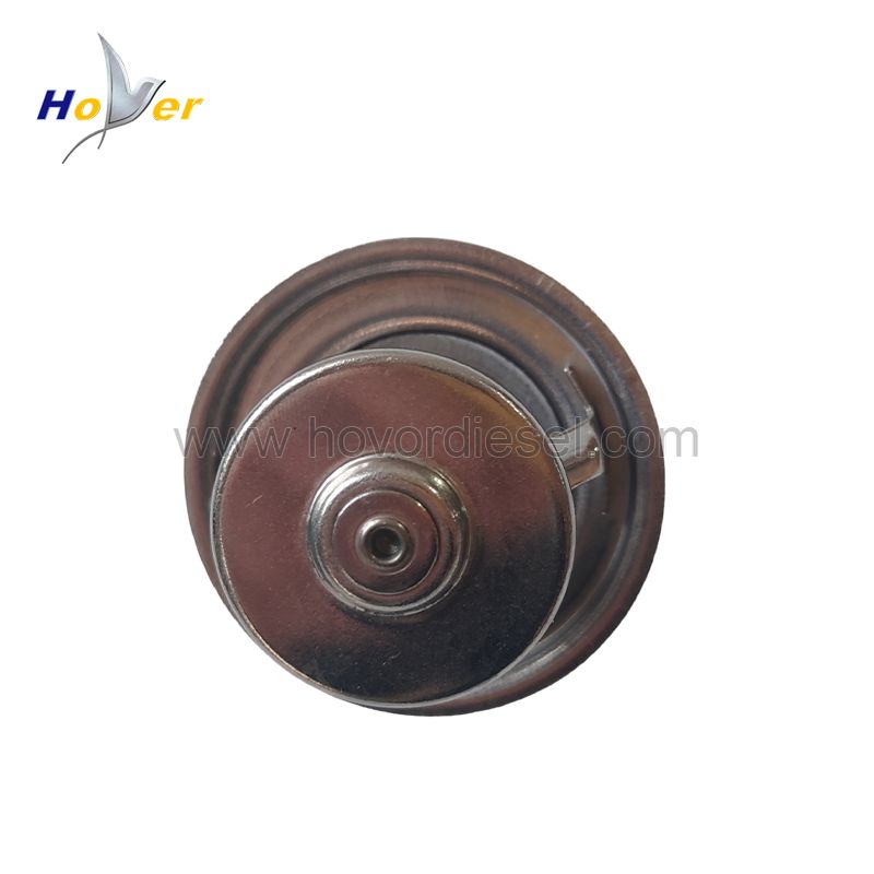 Thermostat 04224847 04224848 Compatible for Deutz Engine 1013 1015 2012 2013