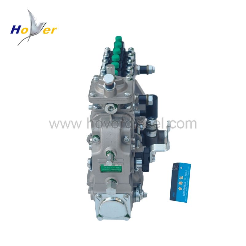 BF6L914 BF6L914C Fuel Injection Pump 04234301 for Deutz