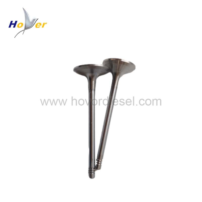 Bfm1015 Intake Valve 04226413 04220143 Exhaust Valve 04226412 04220142 04267455 for Deutz