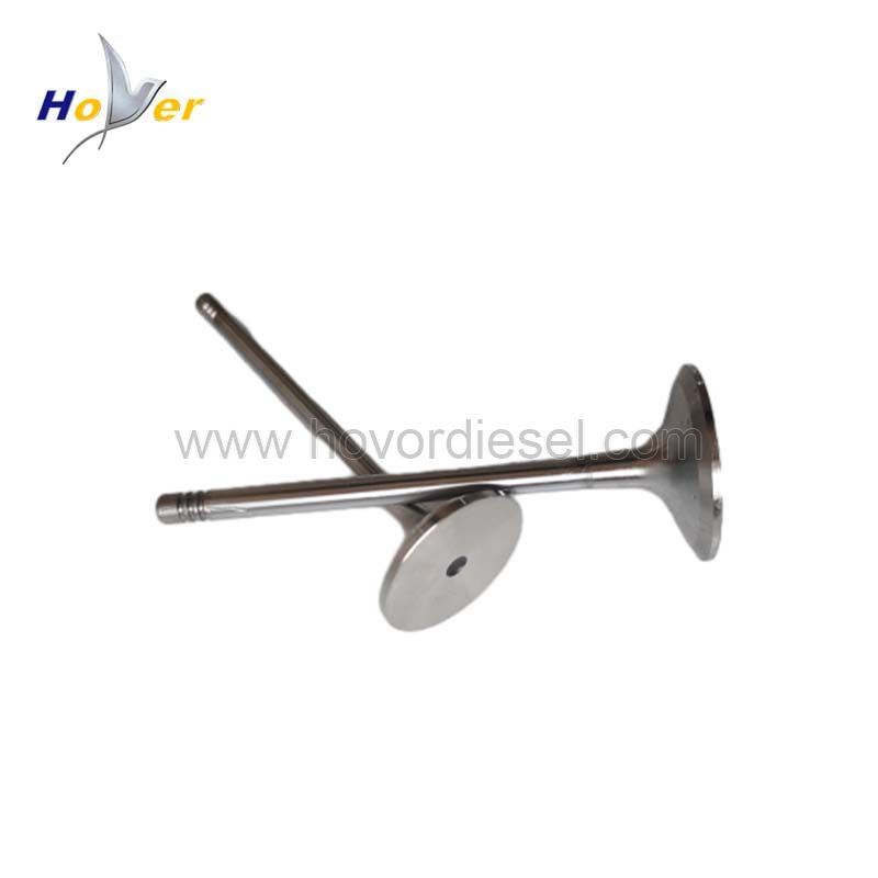 Bfm1015 Intake Valve 04226413 04220143 Exhaust Valve 04226412 04220142 04267455 for Deutz