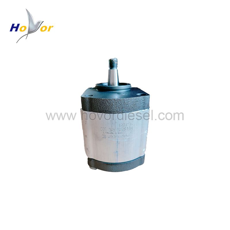 0117 5656 0117 4342 01175656 01174342 Diesel Engine Spare Parts Geared Pump for Deutz 2012 1013 2013